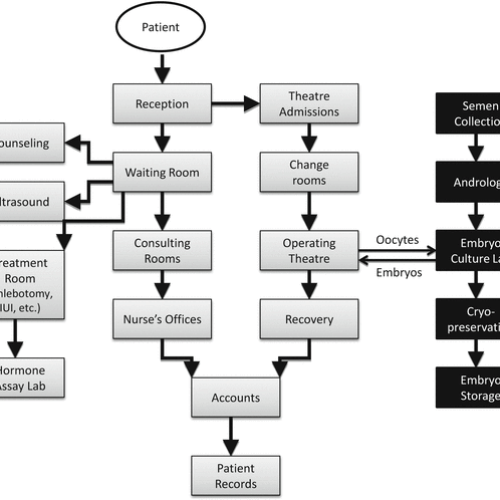 313653_1_En_1_Fig2_HTML