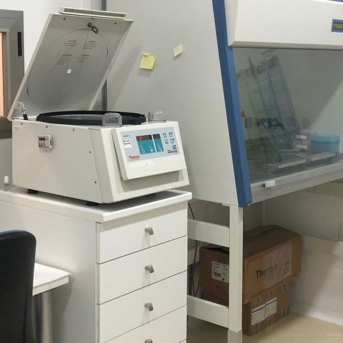 Andrology-laboratory-next-murcia