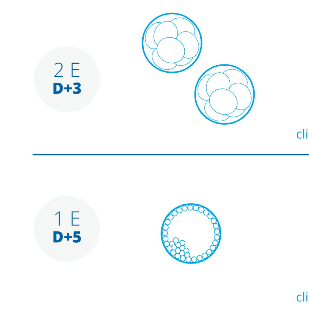 eugin_grafico_SuccessRates_EN