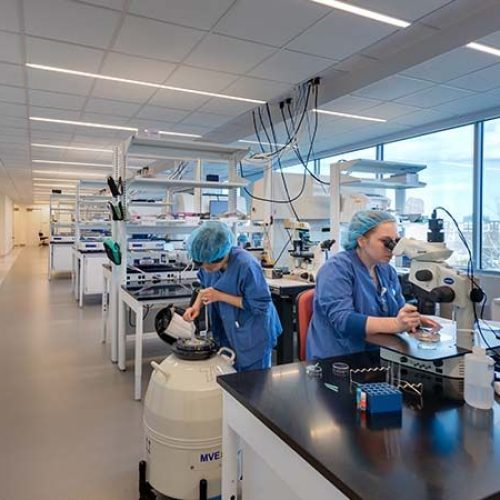 ivf-laboratory-planning-and-design