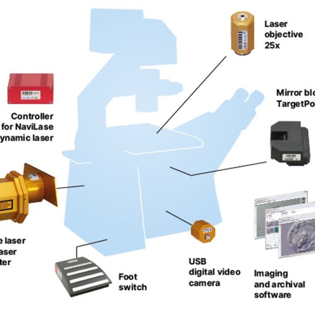 octax-laser-image